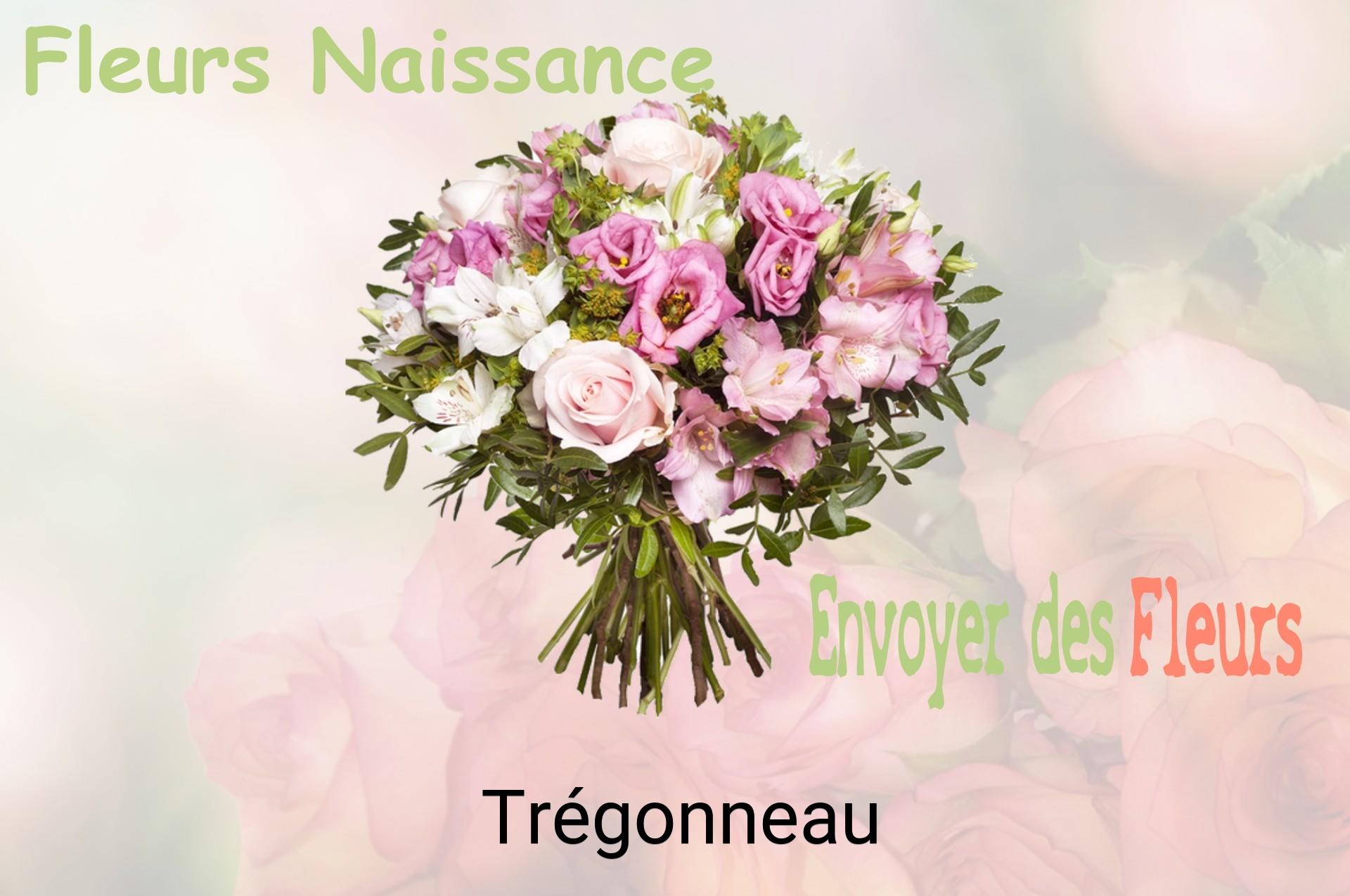 Bouquet de fleurs de naissance livré à Trégonneau